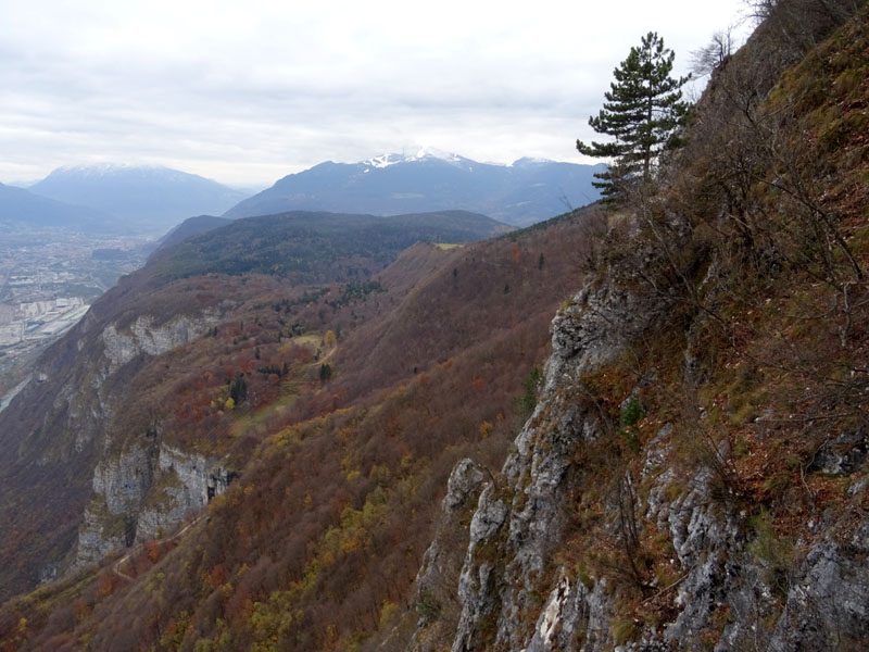 Rupicapra rupicapra.....dal Trentino Alto Adige